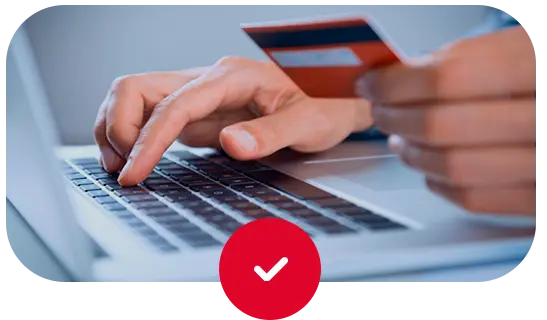 Protección seguro el potosi