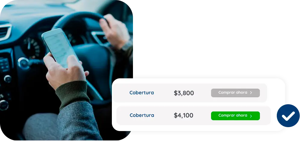 Protección seguro LATINO