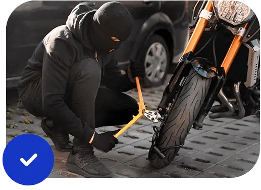 Protección seguro QUALITAS