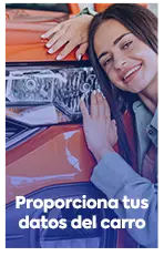 Datos del vehículo